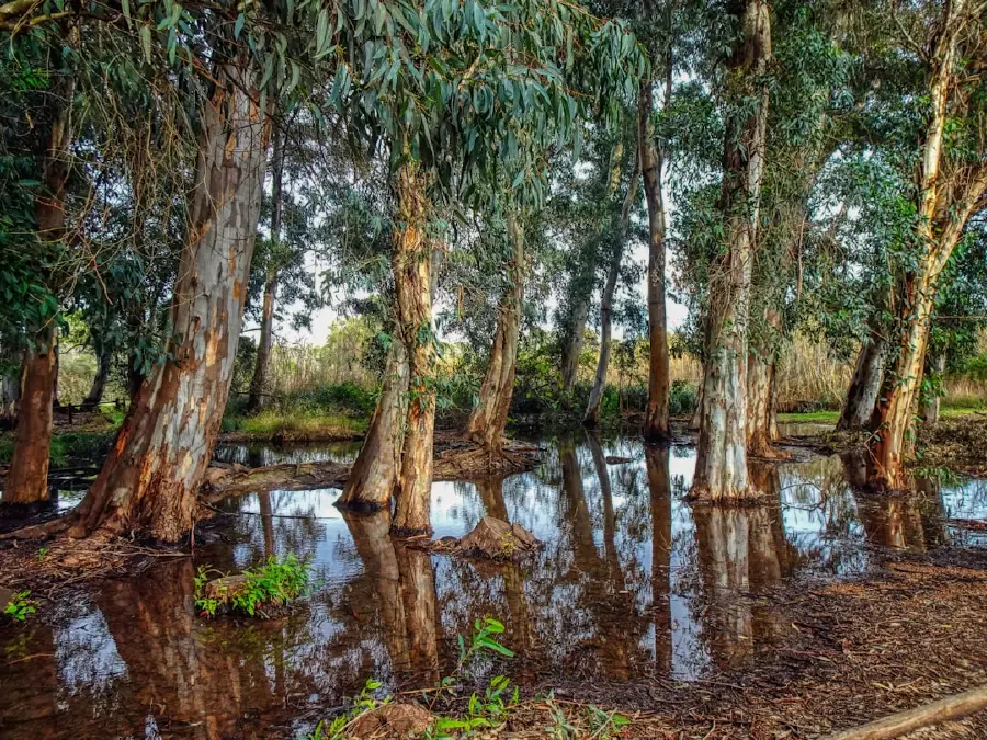 Prêmio Biodiversidade