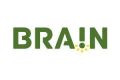 Brain Inteligência Estratégica logo