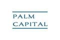 Palm Capital logo