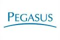 Grupo Pegasus logo