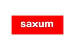 Saxum logo