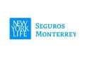 Seguros Monterrey New York Life logo