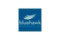 Blue Hawk Investments logo