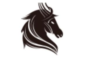 Paladin Asset Management logo