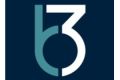 B3 Development logo