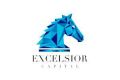 Excelsior Capital logo