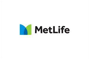 MetLife Investments