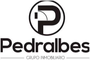Grupo Pedralbes logo