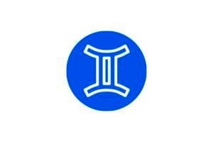 https://www.gemin-i.com/