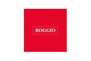 Benito Roggio e Hijos S.A. logo