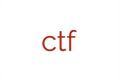 CTF Development International logo
