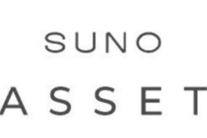 https://www.suno.com.br/asset/
