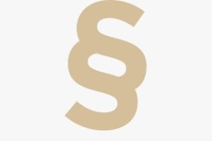 Grupo San Siro logo