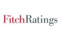Fitch Ratings logo