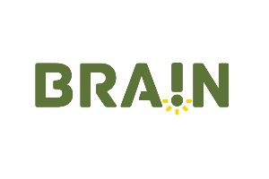 Brain Inteligência Estratégica