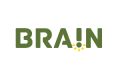Brain Inteligência Estratégica logo
