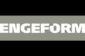 Engeform Engenharia logo