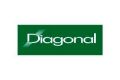 Diagonal Engenharia logo