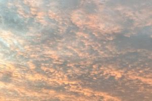 BTS Development logo