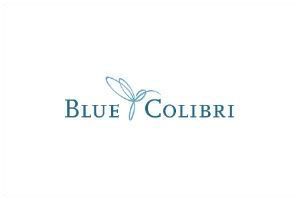 Blue Colibri Capital SARL logo