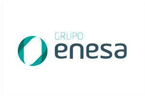 Grupo Enesa - México logo