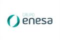 Grupo Enesa - México logo