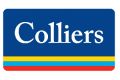 Colliers International logo