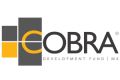 Cobra Development Fund logo