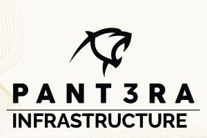 Pantera Infrastructure logo