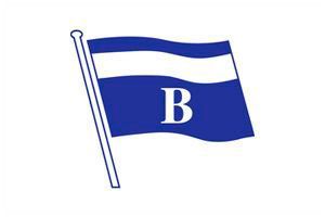 Blue Water Advisors logo