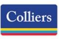 Colliers Global Investors logo