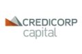 Credicorp Capital logo