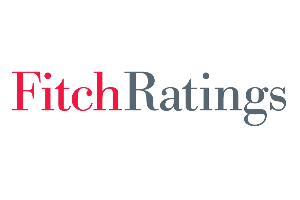 http://www.fitchratings.com.br