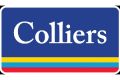 Colliers International - Deutschland logo