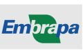 Embrapa logo