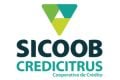 Sicoob Credicitrus logo