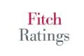 Fitch Ratings logo
