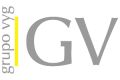Grupo VyG logo