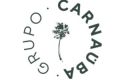 Grupo Carnauba logo