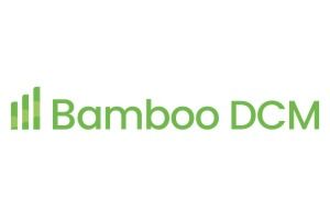 Bamboo DCM logo