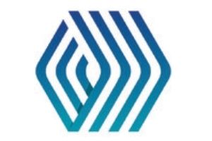 Hubchain logo