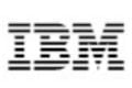 IBM logo