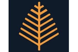 Álamo Investimentos logo