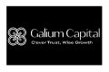 Galium Capital logo