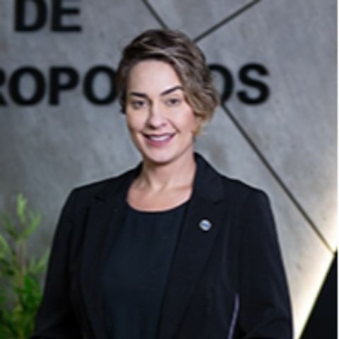 Larissa Carolina Amorim dos Santos