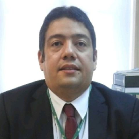 Roberto Schwartz