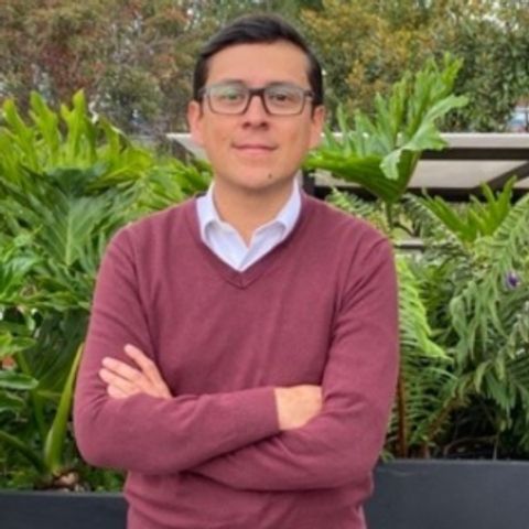 David Méndez Suárez