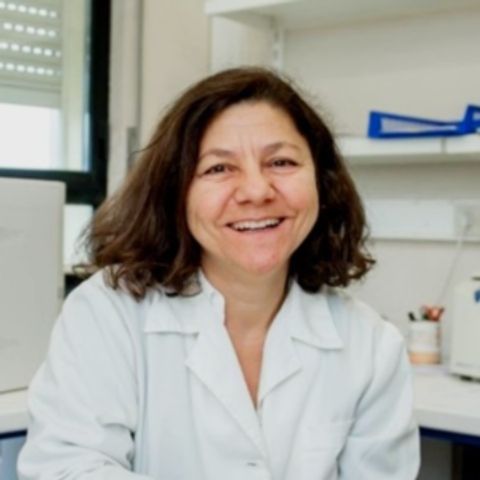 Maria Del Rosario Almeida Torres