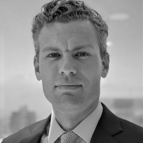 Georges de Bourguignon Covarruvias