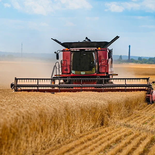 GRI Agro <span>2025</span>